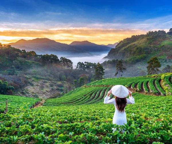 asian-woman-wearing-vietnam-culture-traditional-strawberry-garden-doi-ang-khang-chiang-mai-thailand_335224-755